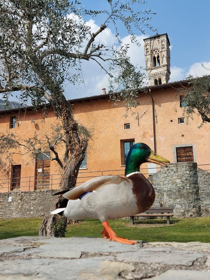 Le Allegre Comari Di Ossuccio Exterior foto